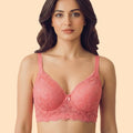 Intimist Cotton Padded Bonded Lace Bra (5804)